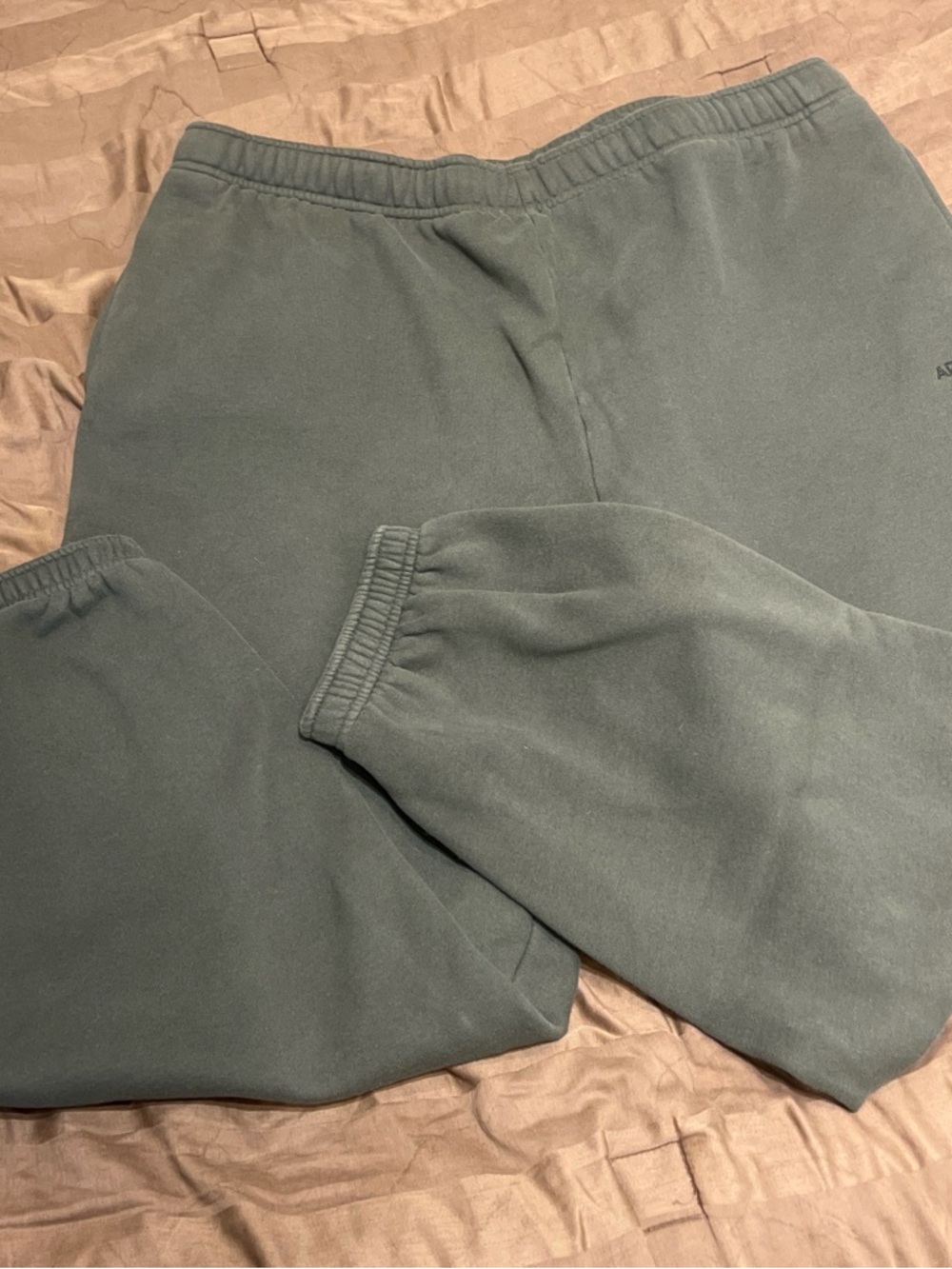 Aritzia Sweatfleece Sweatpants in Olive